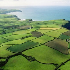 ����������� ������ �� ���������� ������������ ������ ������� ������ ������ ��������� ����� ������������ ������������� ��������� ��������